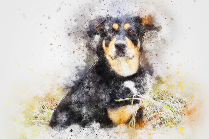Dog Animal Pet Art Abstract Watercolor Vintage
